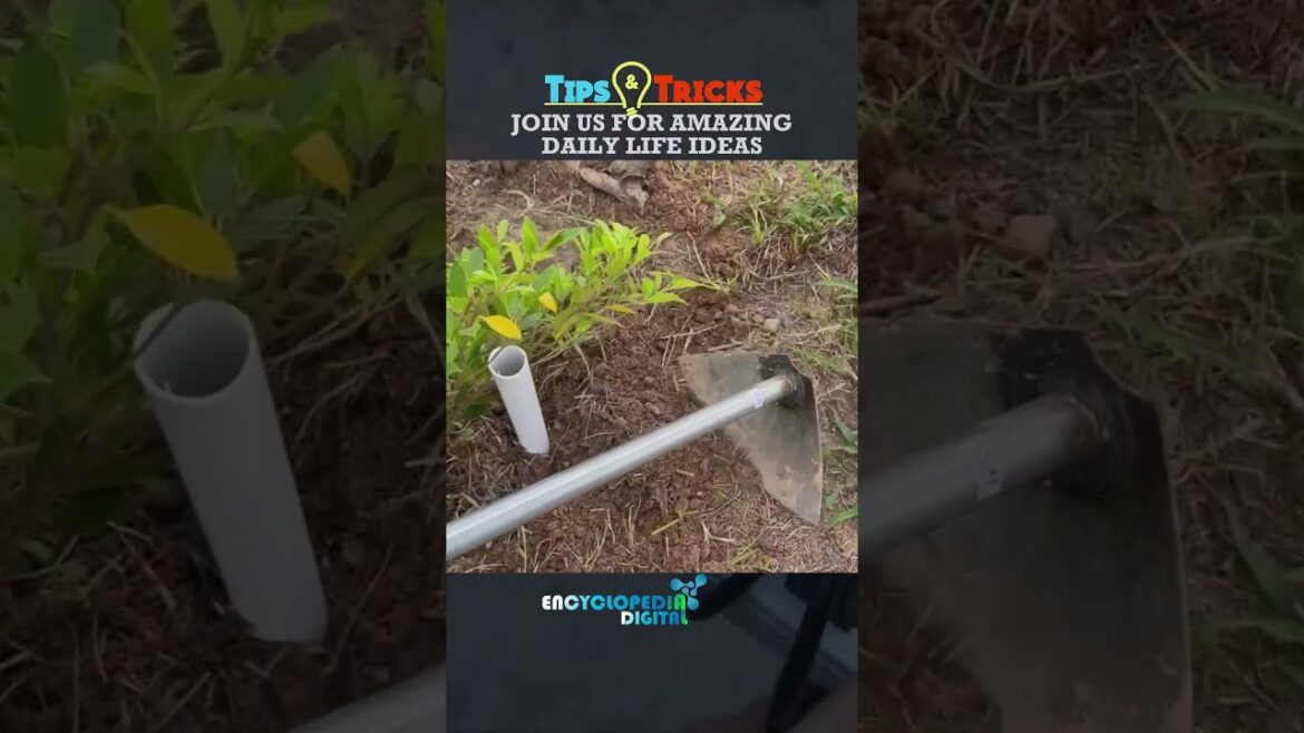 Simple Gardening Tips and Tricks Video No 8 Gardening Hacks #Shorts #Hacks #Carfty #Gardening