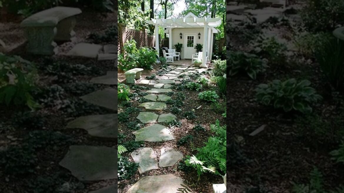 Ideas for gardening #garden