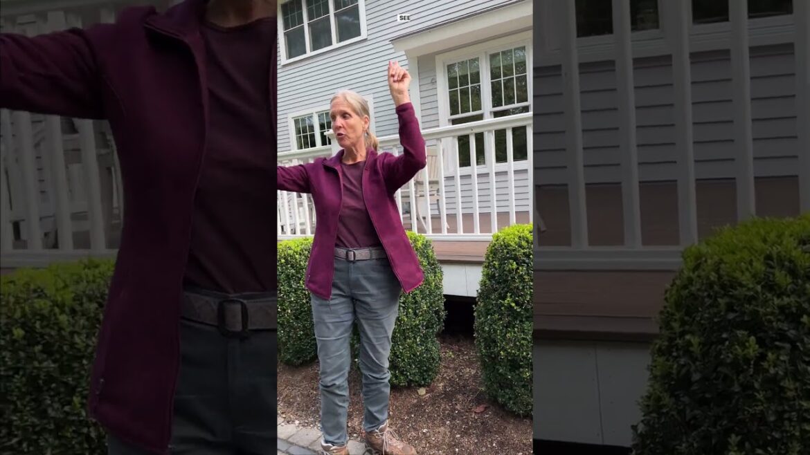 Landscape Design: Focus On What You Can Actually See Landscape Design: Focus On What You Can Actually See