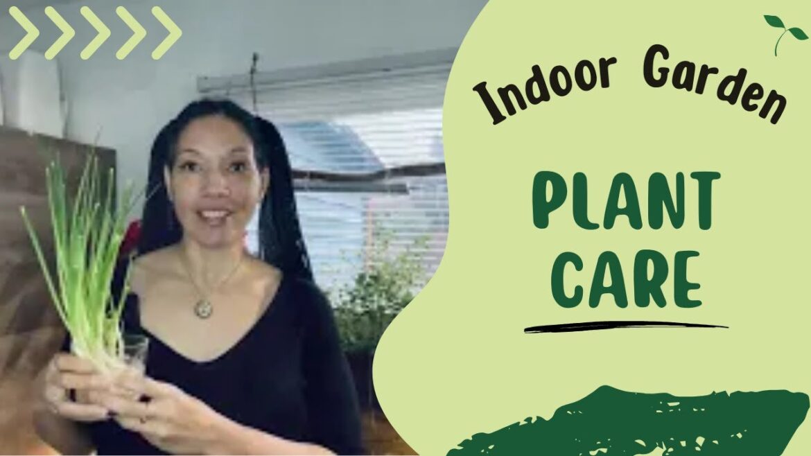 🌱🌟Green Oasis in SE Alaska (Indoor Herb Garden Tips)