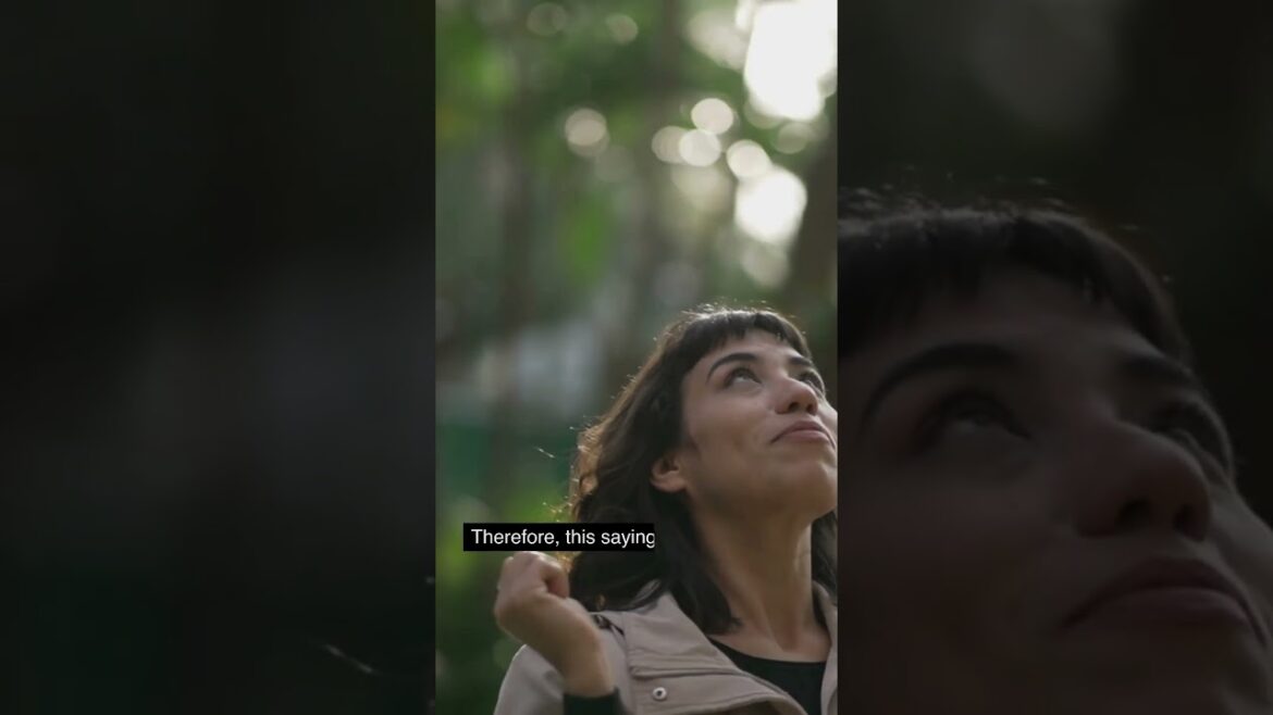 When God closes doors, he opens windows