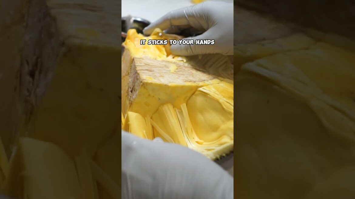 Jackfruit Wonders: Tree to Fruit! 🌳🍈 #Shorts