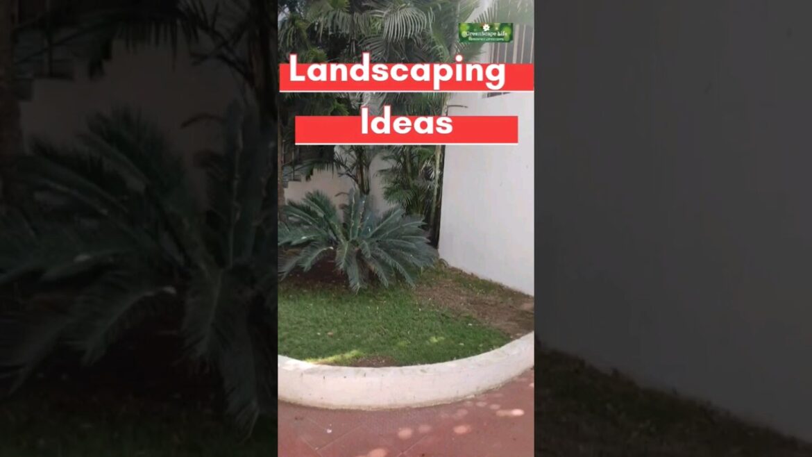 Landscaping Ideas| Beautiful Garden Ideas #shorts #gardening #landscape