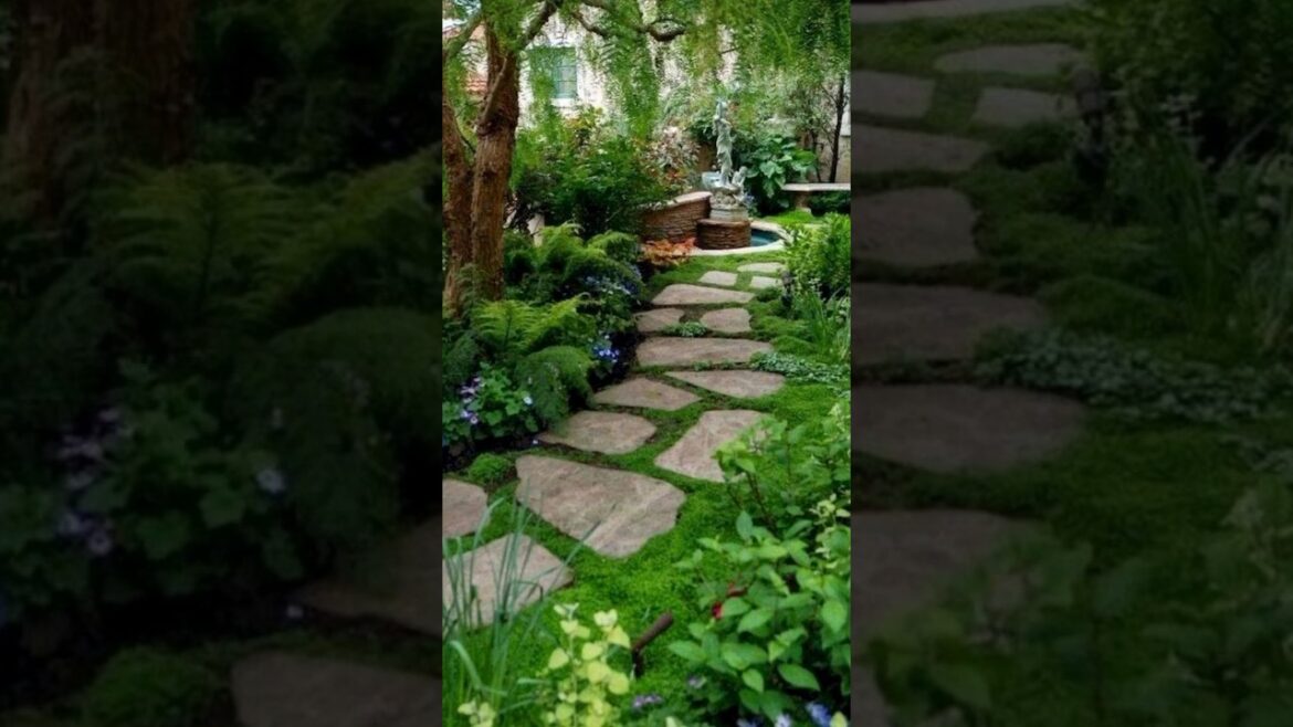Gardening ideas for home #garden