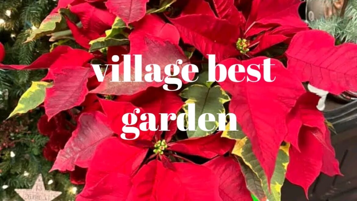 village best garden