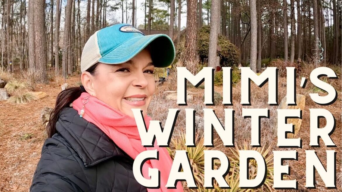 Winter Garden Tour of Mimi's Shade Garden