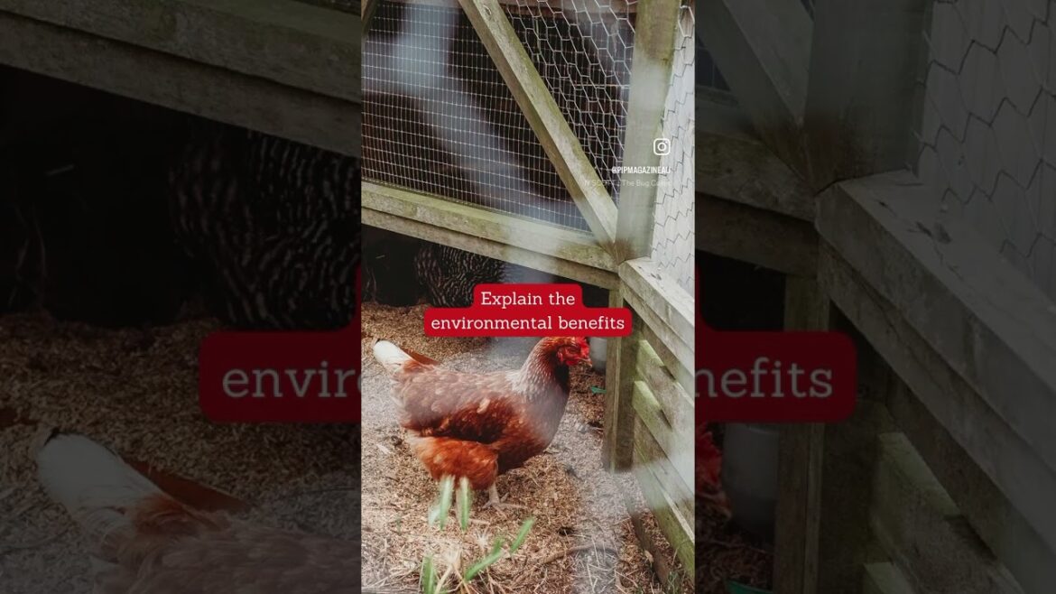 #shorts 5 Edible Gardening Tips For Renters