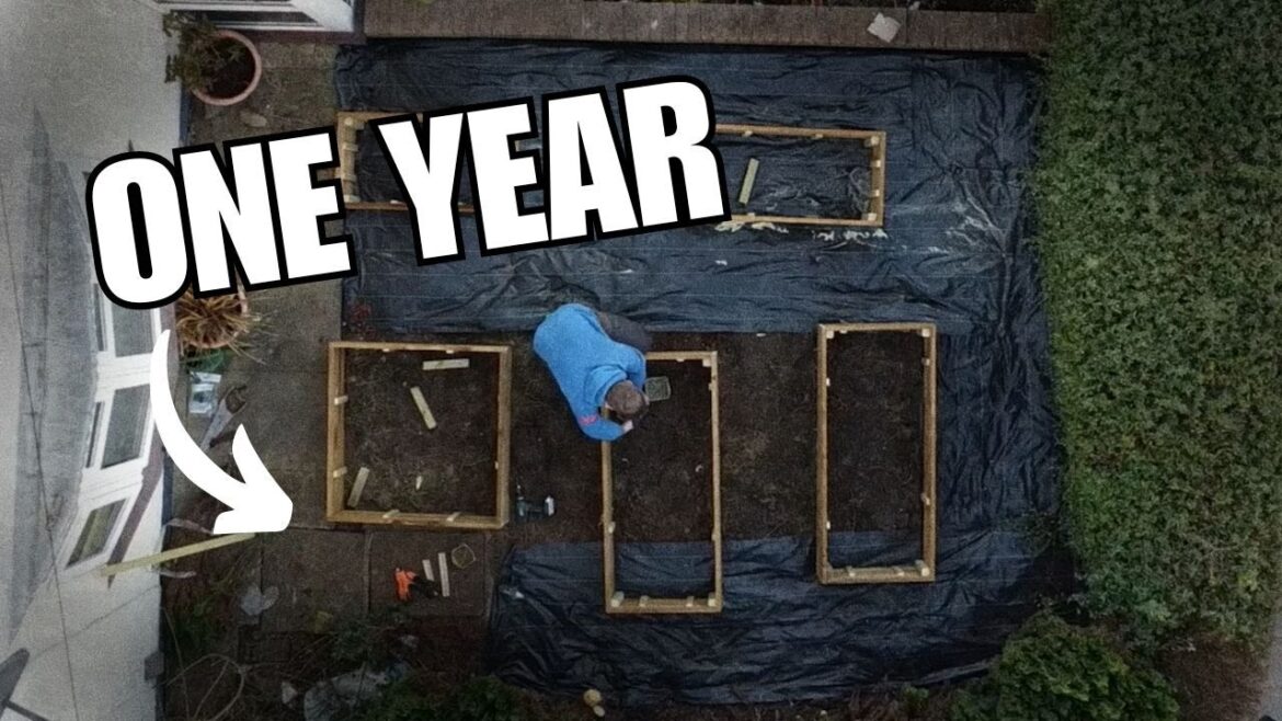 How much did I save by growing food in my front garden? How much did I save by growing food in my front garden?