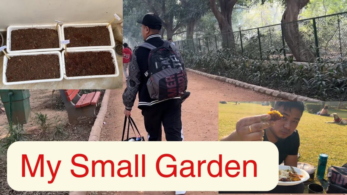 Vegetable Gardening at Home||Enjoying Park picinic#mukbang #gardening