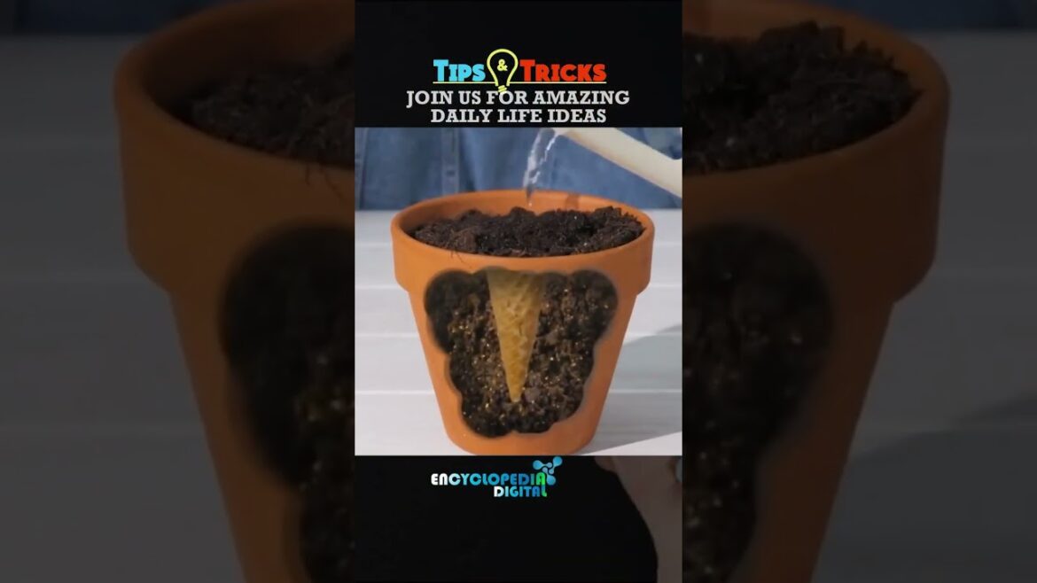 gardening ideas for home - Gardening | Simple Gardening Hacks and Tips & Tricks #Garden