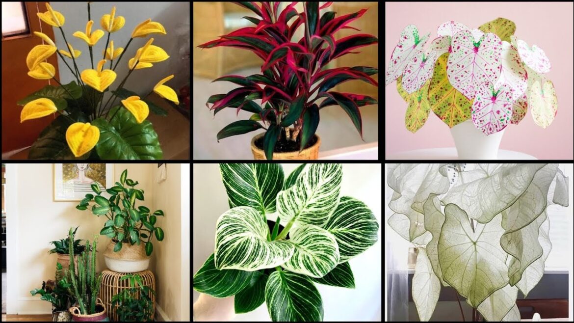 Artificial Plants For Home Decore || Plants Decorating Ideas || Best Fake Plants For Home Artificial Plants For Home Decore || Plants Decorating Ideas || Best Fake Plants For Home
