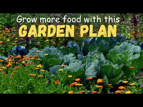 Easy 3 STEPS – How to plan annual vegetable garden. Easy 3 STEPS - How to plan annual vegetable garden.