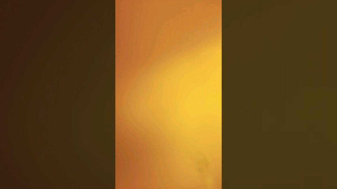 #shorts #shortvideos #flowers #gardening #gardeningtips