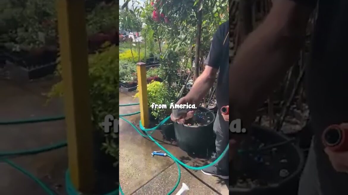 How to Watering??🚿Part 5!💧💦