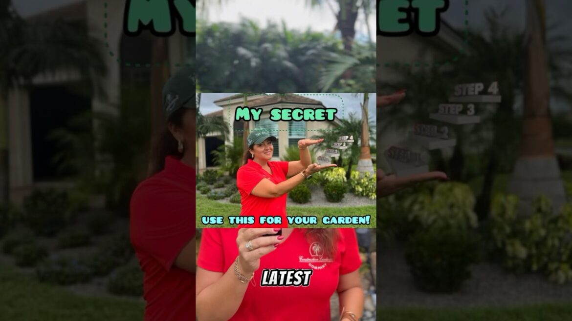 The SECRET 🤫 to creating a tropical landscape in your yard. 🌴 #landscapestyles #landscapedesigner The SECRET 🤫 to creating a tropical landscape in your yard. 🌴 #landscapestyles #landscapedesigner