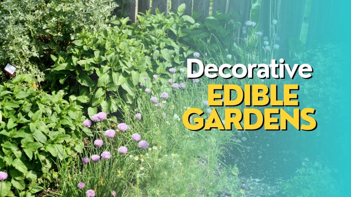 Decorative Edible Gardens