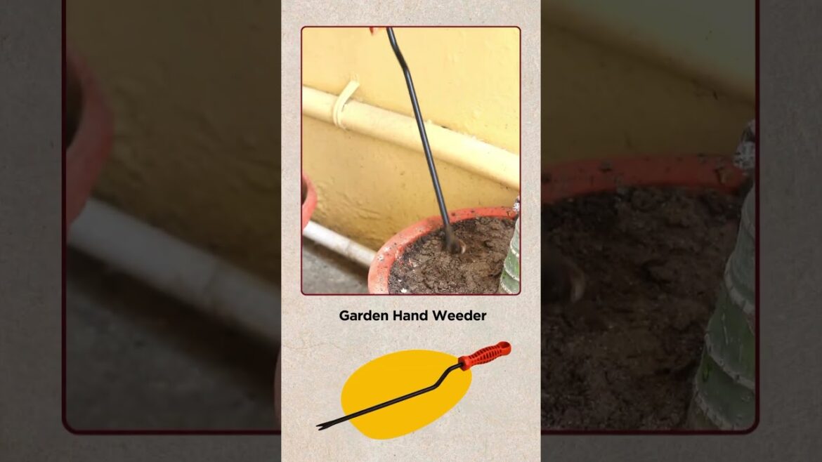 5 Best Tools for Gardening  #urbanplant