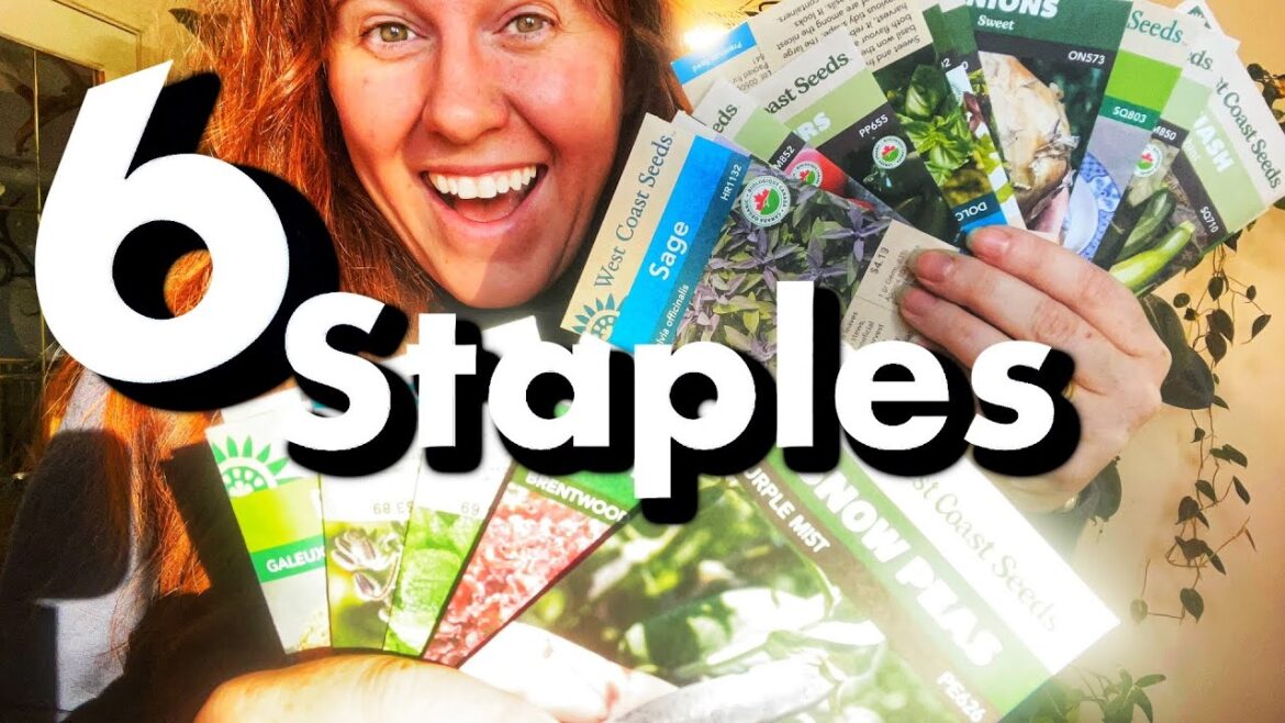 The CHEAPEST Garden Vegetables To Grow. ZERO inputs! The CHEAPEST Garden Vegetables To Grow. ZERO inputs!