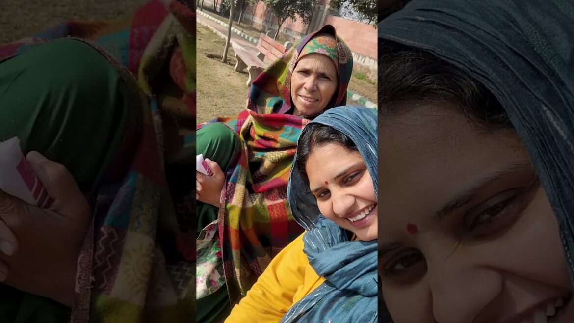 Day 157 aaj maine plants ki jagah ki adla badli ki #minivlog #shortvideo #winterspecial #gardening