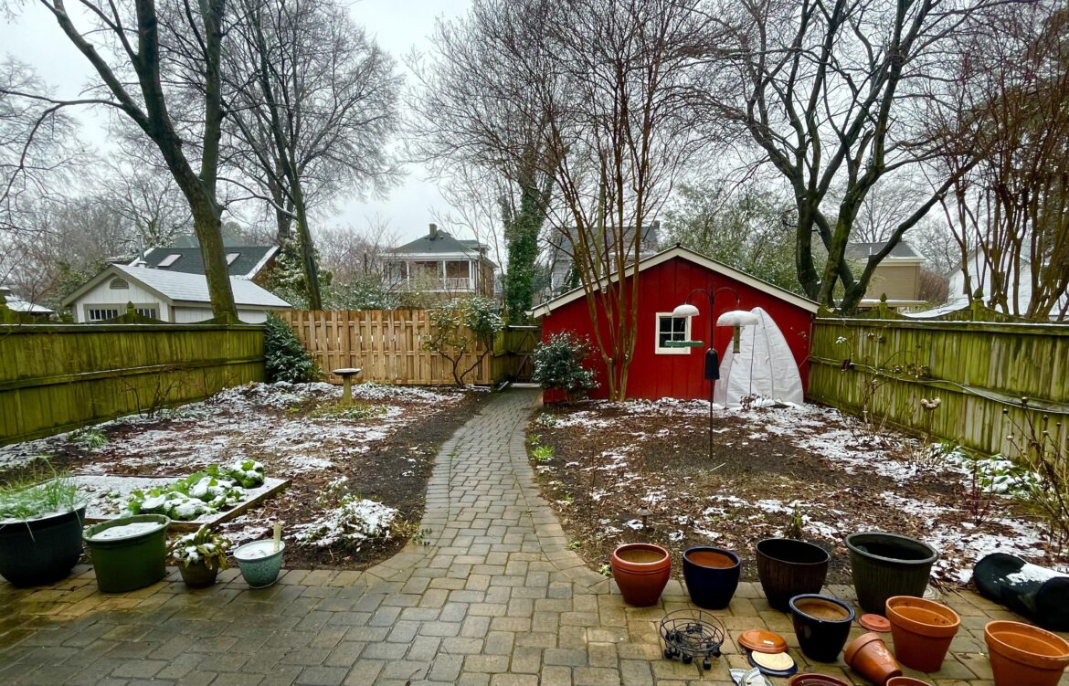 Collapsible greenhouse? Collapsible greenhouse?