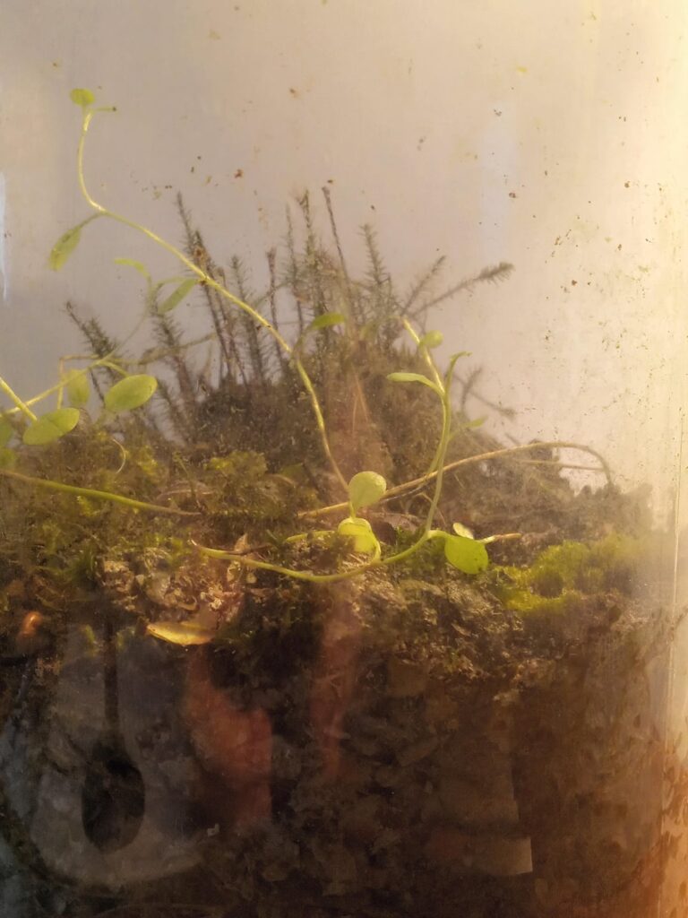 Creekside jar created Sept 26, 2023 Creekside jar created Sept 26, 2023