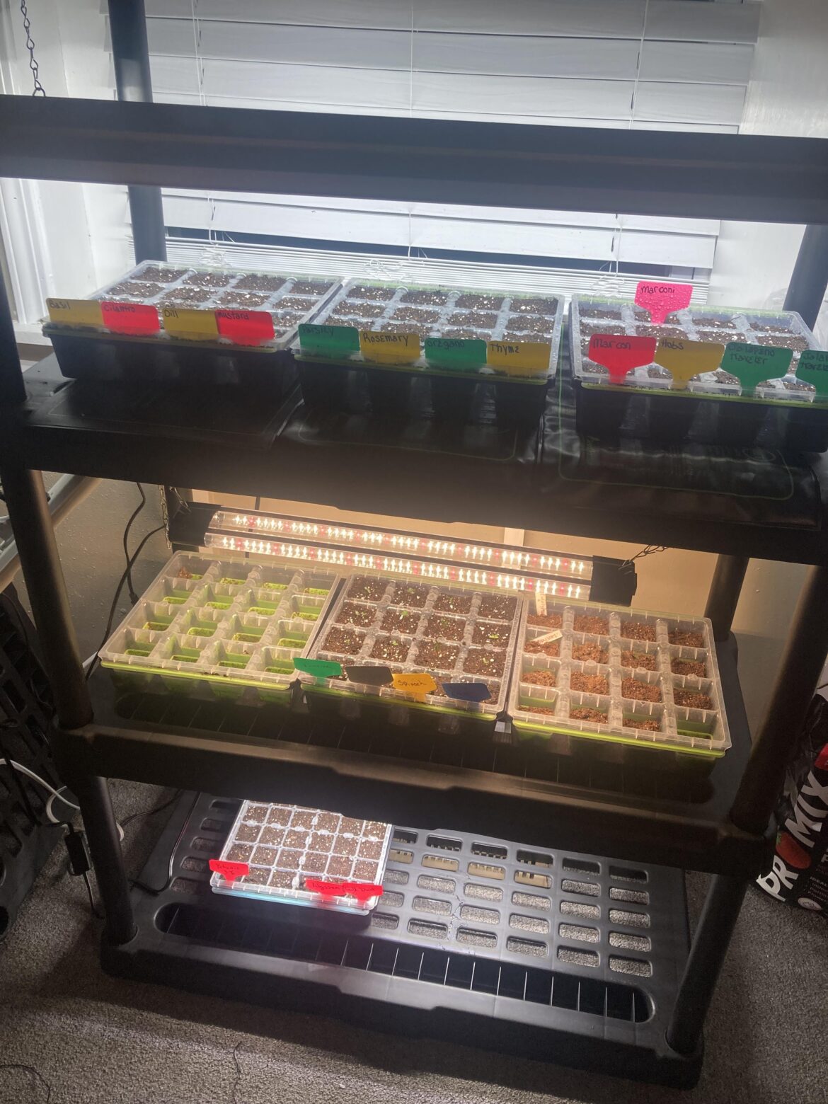 My seed room is coming together!