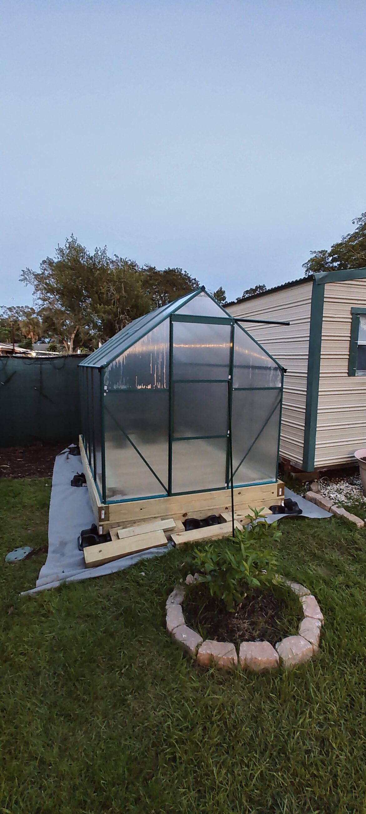 First greenhouse. Amazons finest chinesium. Seems fairly solid. I will definitely add a little bit of extra bracing and support.