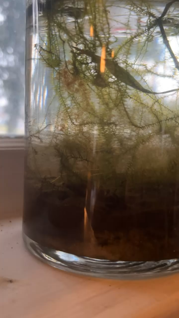 Can anyone identify him