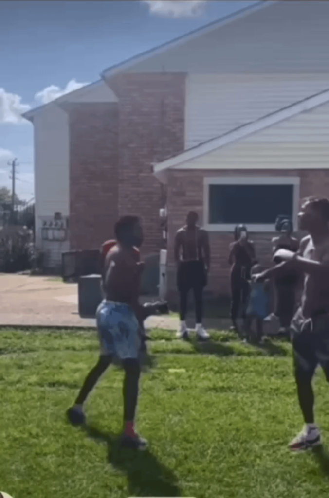 Hood fight, nice lawn