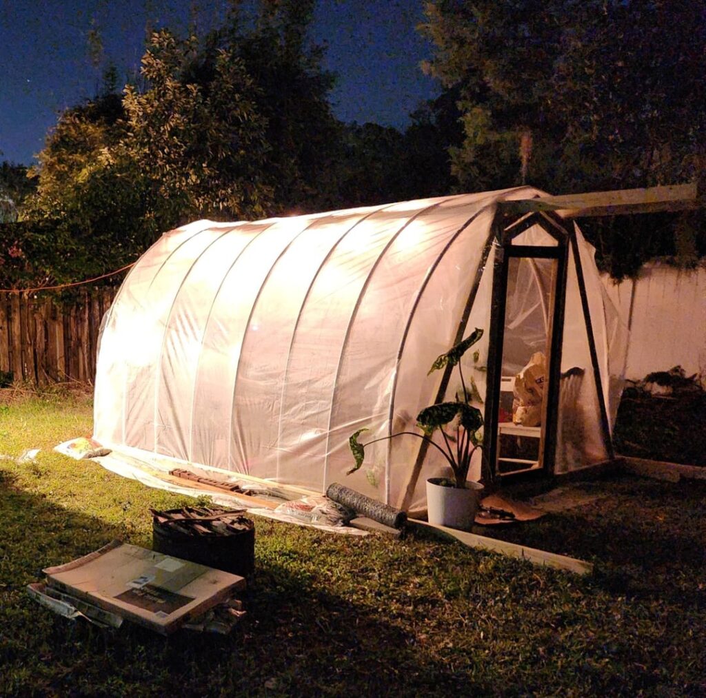 My newest greenhouse/aviary