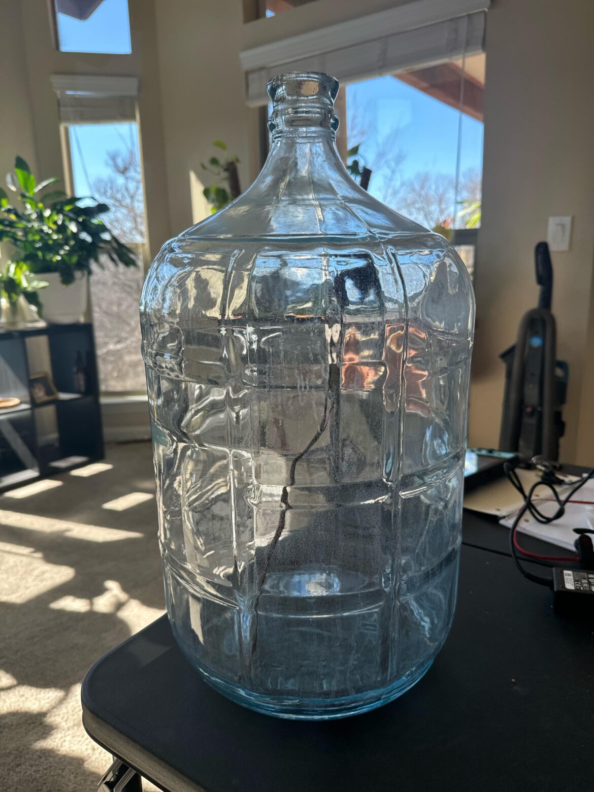 Help me with getting started with this ecosphere (6 gal). Need some pointers and dos and donts. Last one I did didn’t work, so need help. Help me with getting started with this ecosphere (6 gal). Need some pointers and dos and donts. Last one I did didn’t work, so need help.