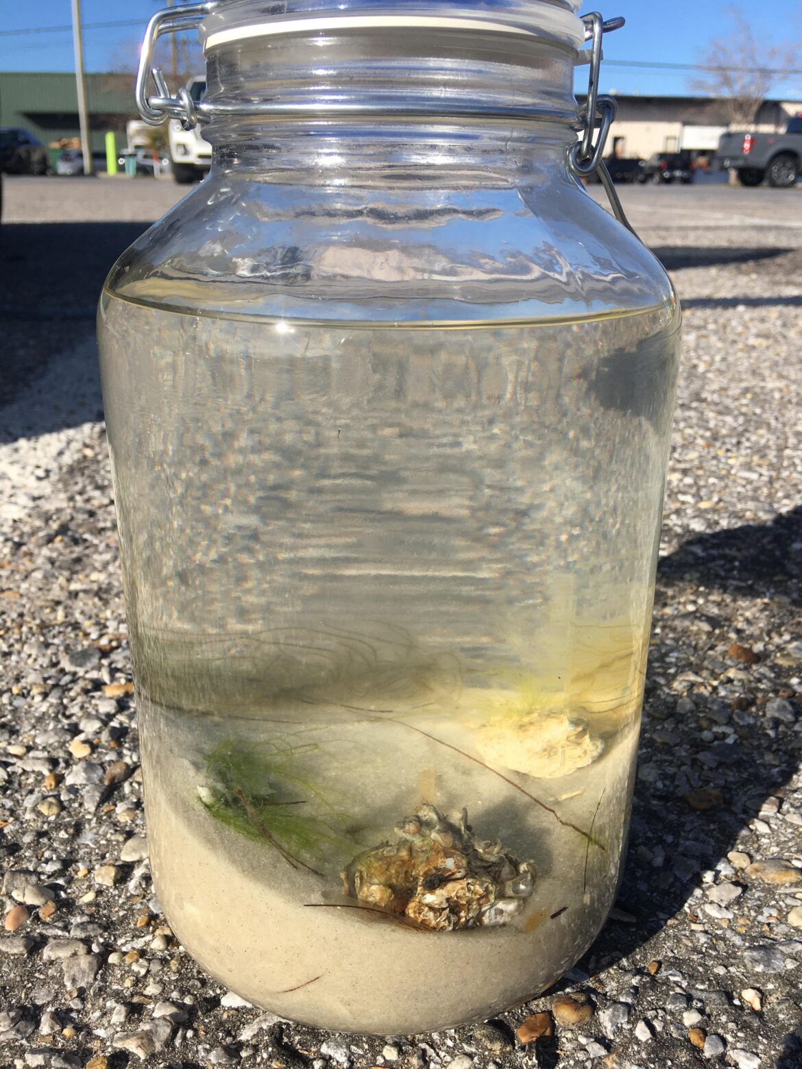 Pensacola bay ecosphere complete