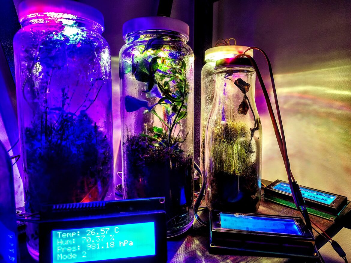 Ecospheres 8 months Strong // HAPPY 2024