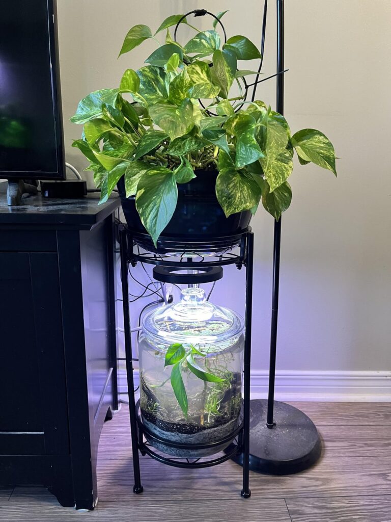 2 Gallon World 2 Gallon World