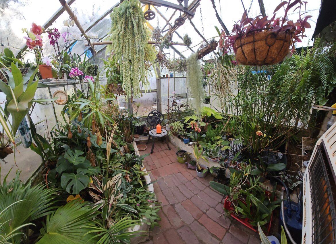 10'x10' slice of heaven, zone 7 on New Years Day.