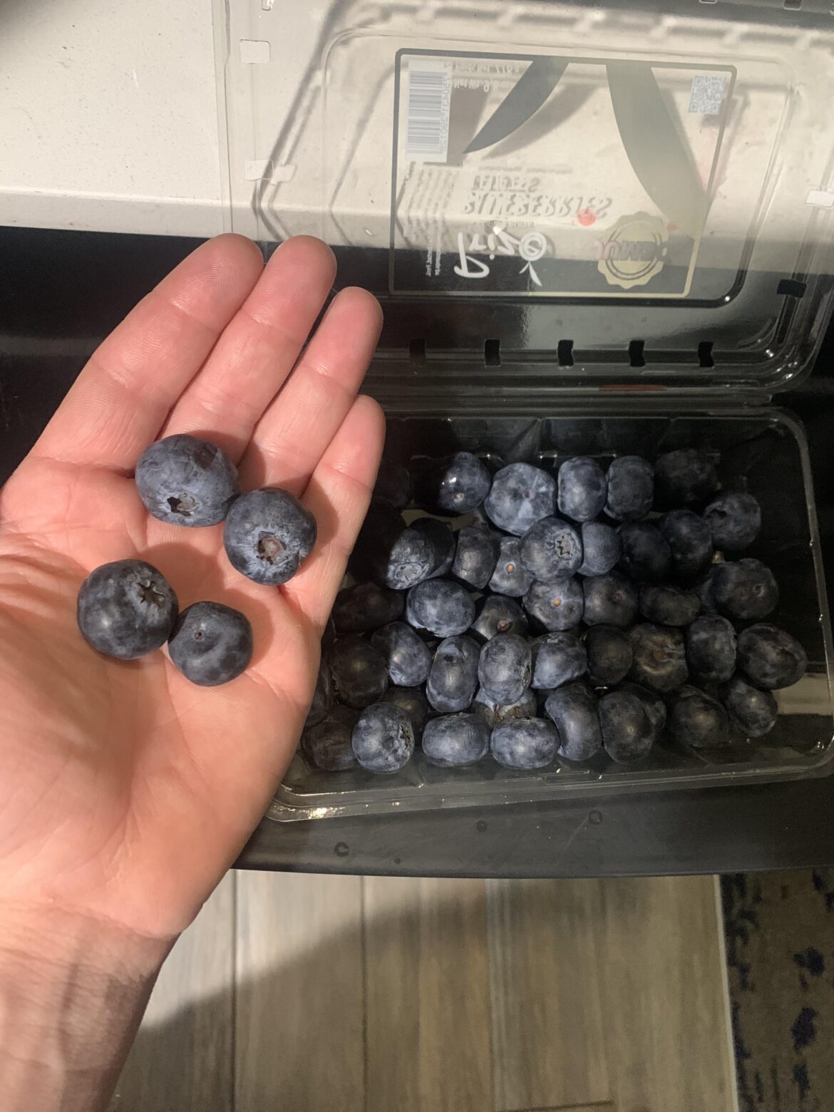 Can I grow Blueberry Bushes from these berries?
