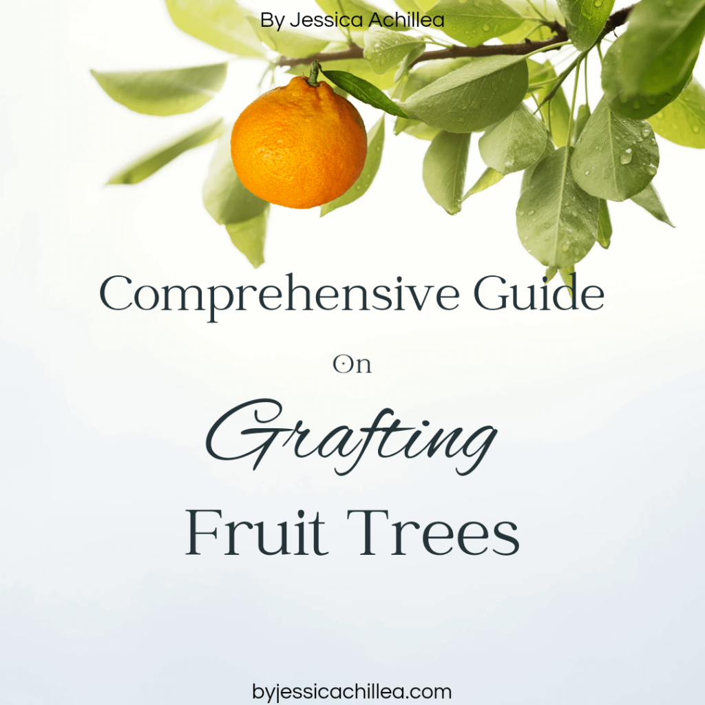 🍋 Comprehensive Guide on Grafting Fruit Trees Article 🍋