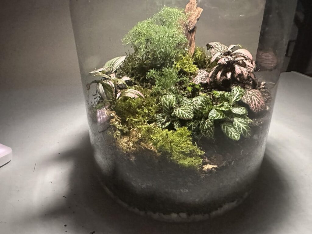 First ecosphere any tips?