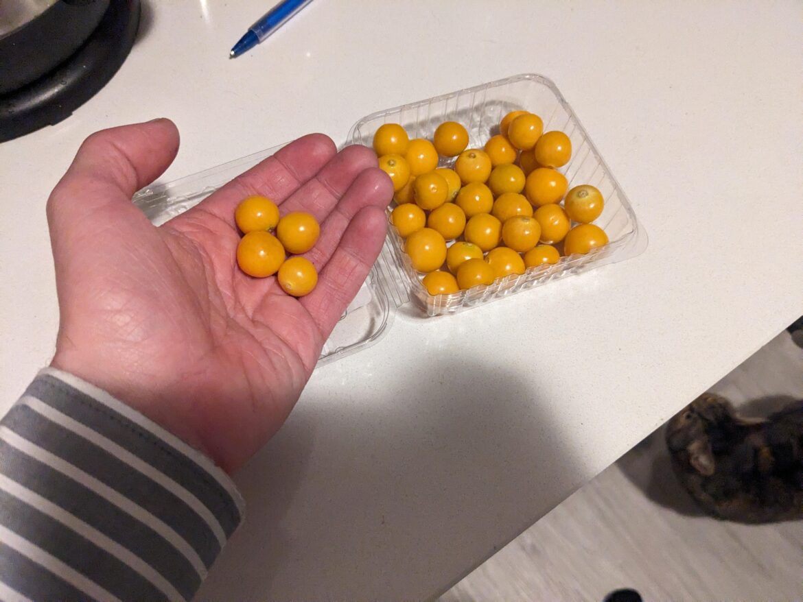 I can only regret I've lived over three decades without trying goldenberries.