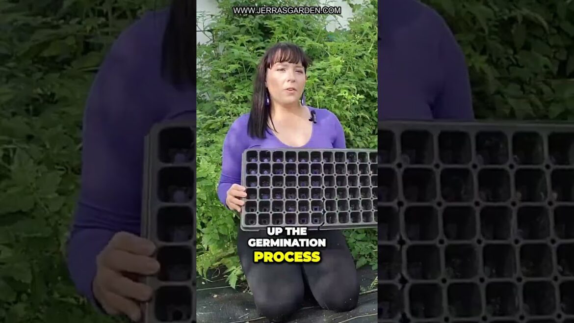 Sow luffa & moringa seeds for transplanting after your last spring frost date #luffa #garden #plants