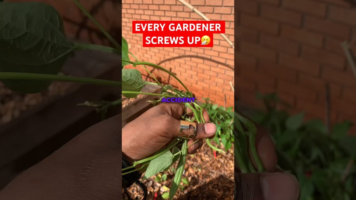 EVERY Gardener makes MISTAKES🤧 | #gardeningtips #gardeners #pruning EVERY Gardener makes MISTAKES🤧 | #gardeningtips #gardeners #pruning