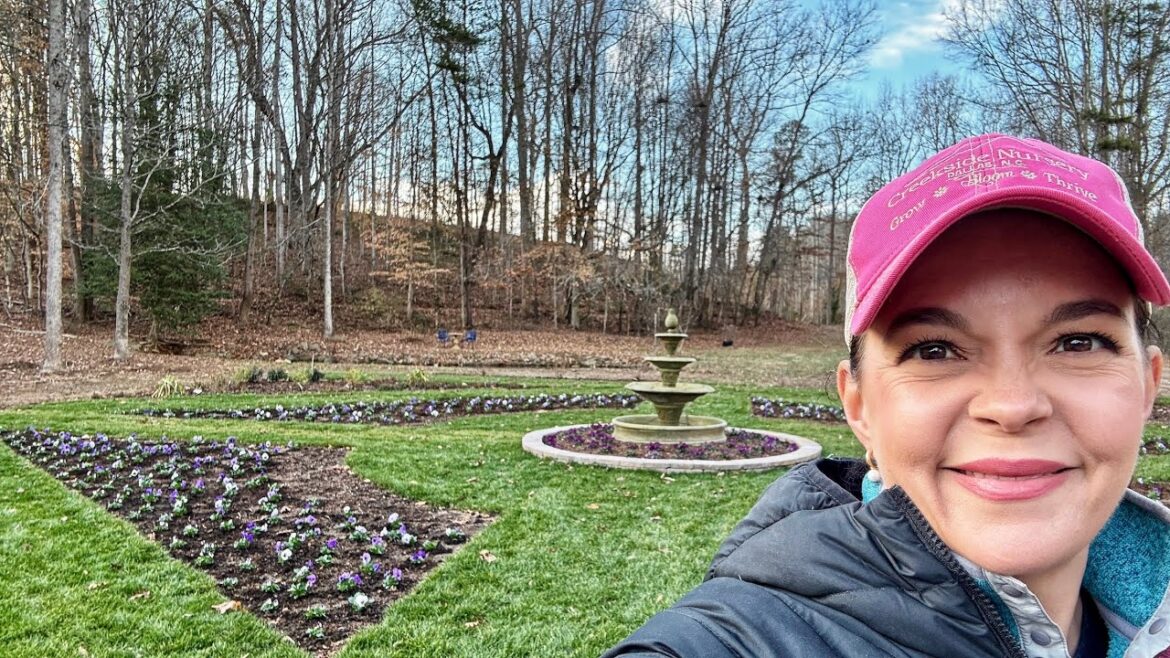 Creating Colorful Winter Beds in the Signature Garden