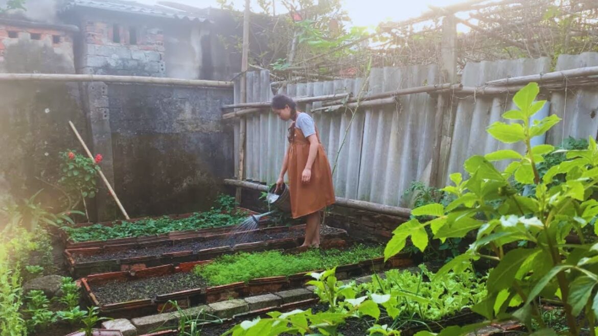 Gardening Sowing New Vegetable Crops And Garden Scenes On Cold Winter Days Gardening Sowing New Vegetable Crops And Garden Scenes On Cold Winter Days