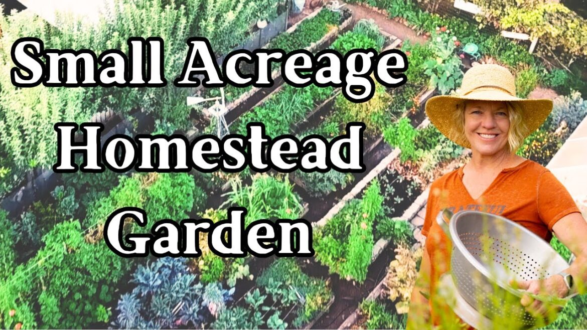 Self Sufficiency on Small Acreage – My Vegetable Garden Layout Self Sufficiency on Small Acreage - My Vegetable Garden Layout