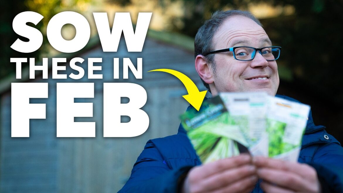 You Must Sow These Seeds in February You Must Sow These Seeds in February