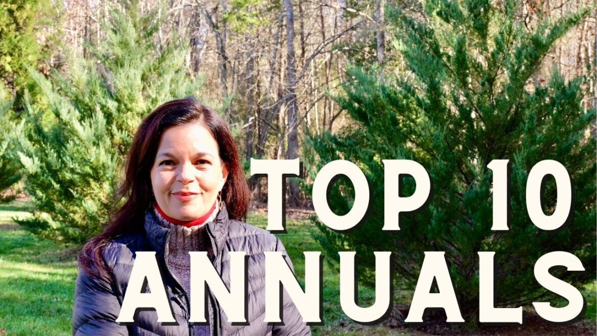 My Top 10 All-Time Favorite Proven Winner Annuals