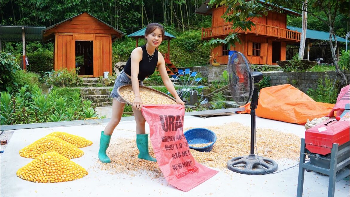 TIMELAPSE: START TO FINISH – vegetable gardening, Farm construction TIMELAPSE: START TO FINISH - vegetable gardening, Farm construction