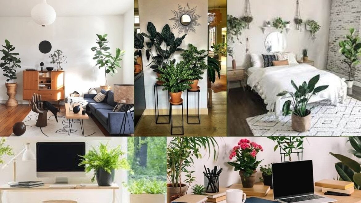 7 Plant Decor Ideas That Are Both Unique and Budget-Friendly/Great Ways to Decorate With Plants.