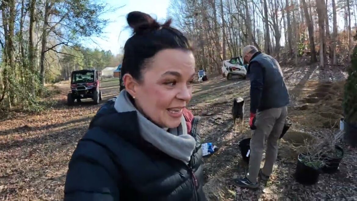 Planting a Mixed Screen At the Signature Garden