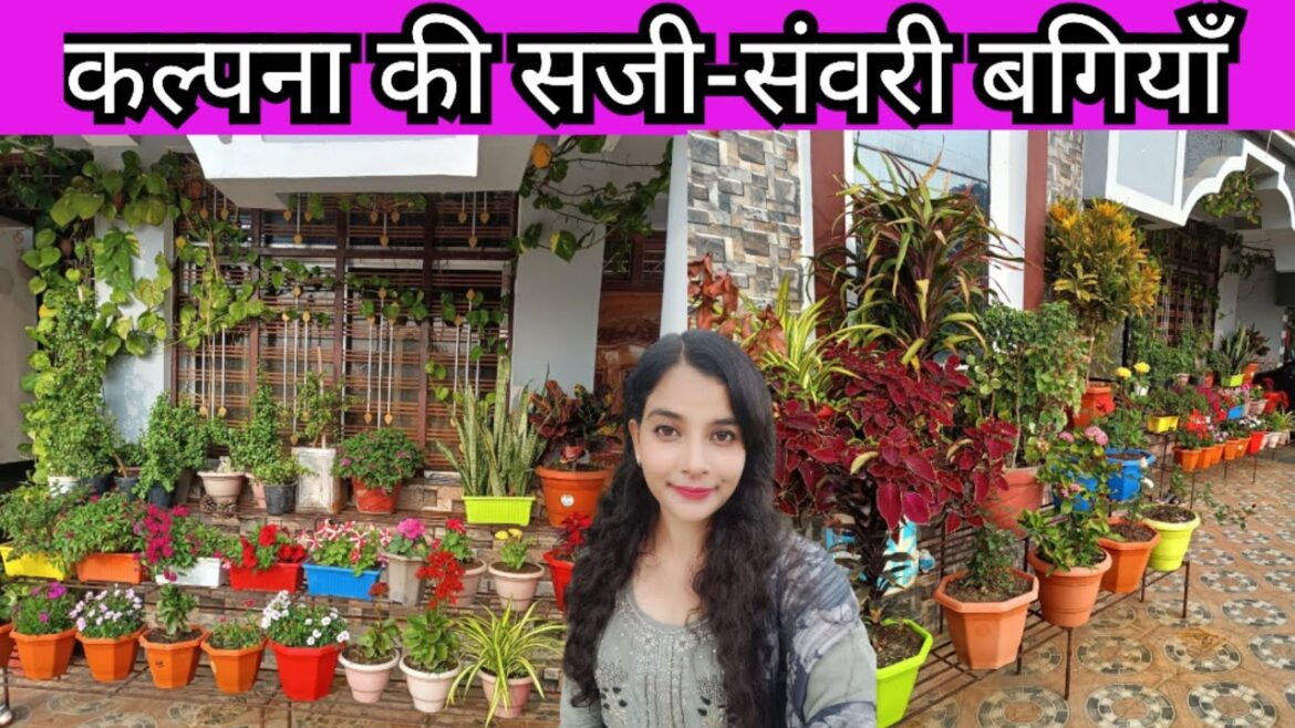 Beautiful Home Garden by Kalpana || Tips for New Gardener